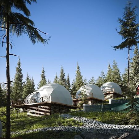 Villa Gm Eco Bubble Yablunytsya Esterno foto