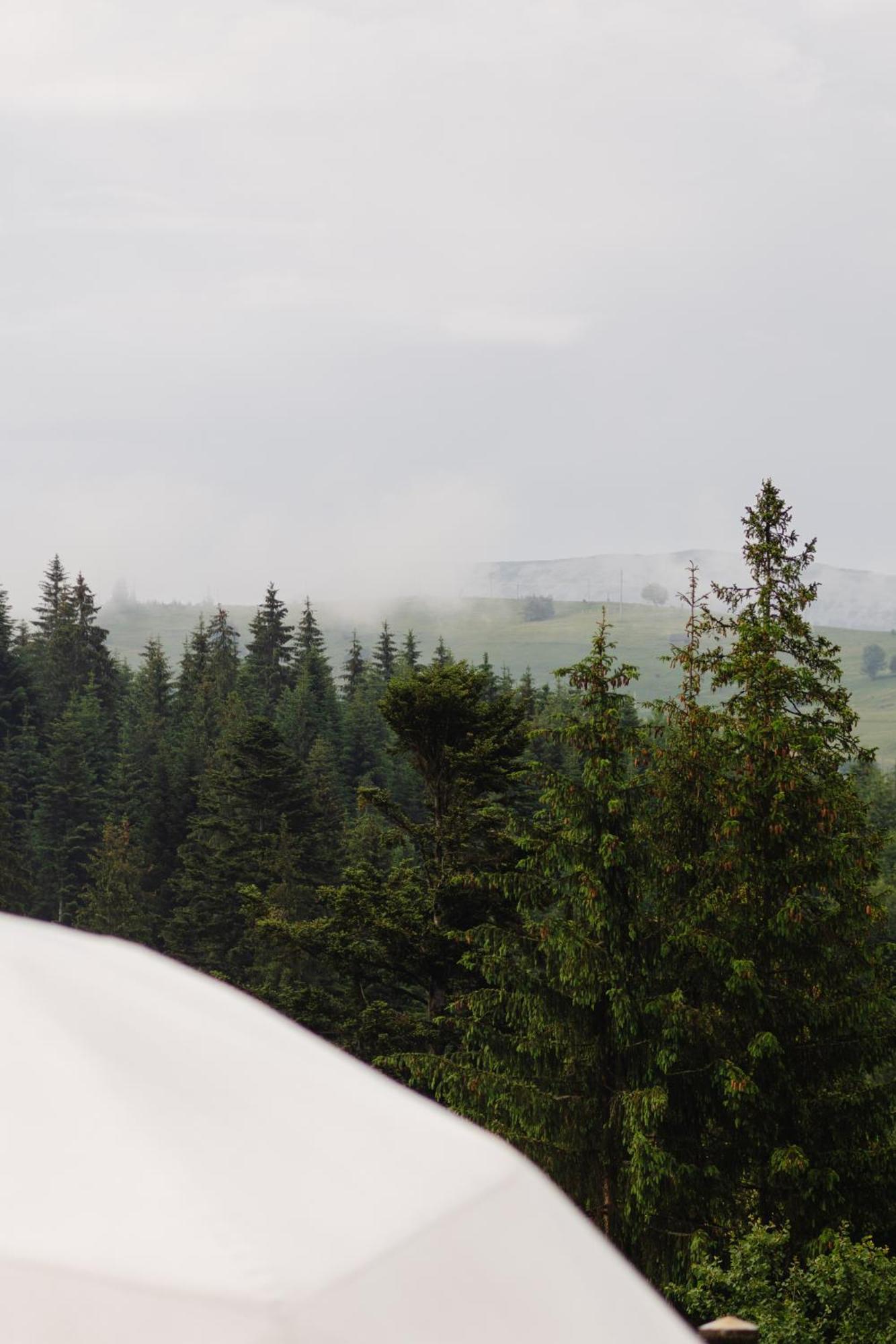 Villa Gm Eco Bubble Yablunytsya Esterno foto